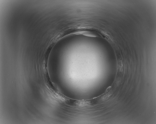 X0000060740670200511101109