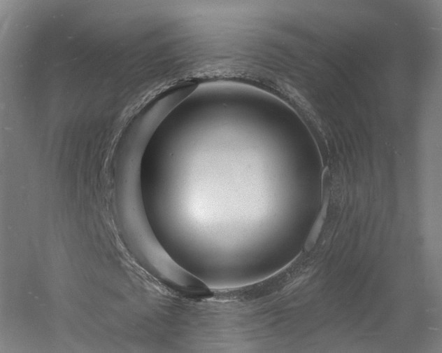 X0000060740673200511101108