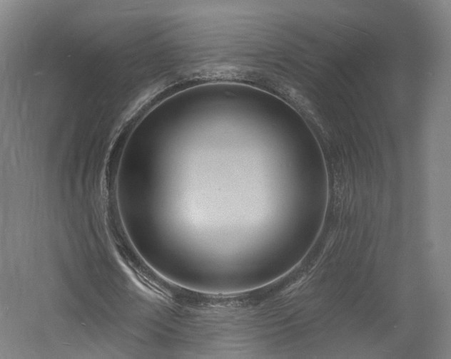 X0000060740674200511101108