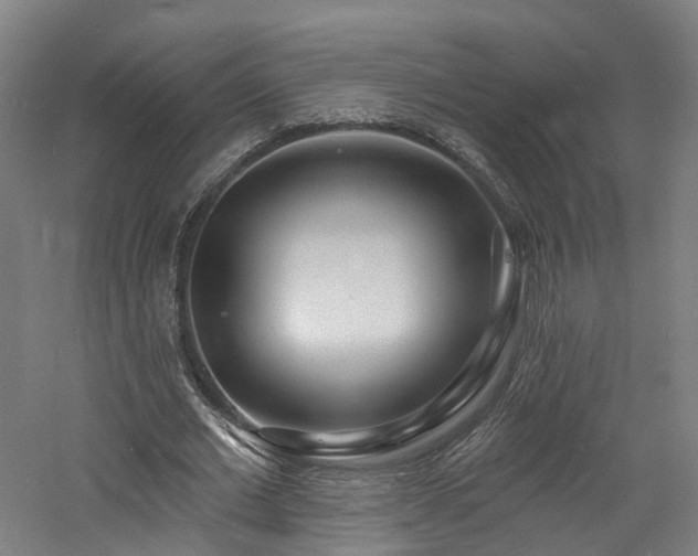 X0000060740677200511101108