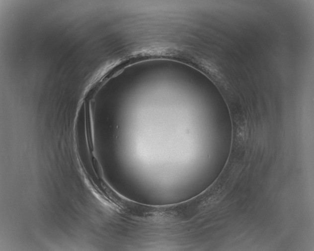 X0000060740678200511101108