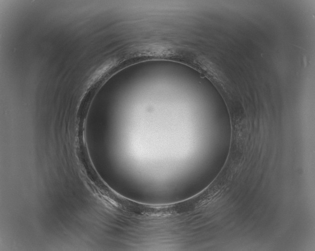 X0000060740679200511101108