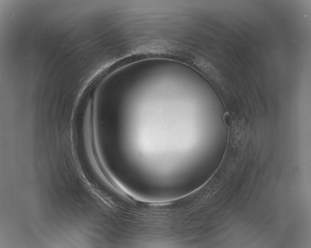 X0000060740680200511101108