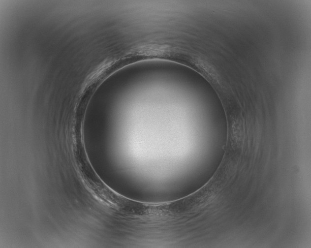 X0000060740682200511101108