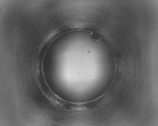 X0000060740683200511101108