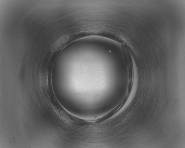 X0000060740685200511101108