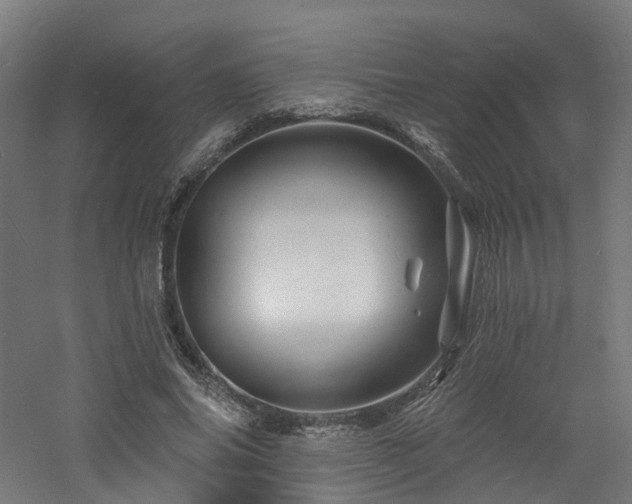 X0000060740686200511101108