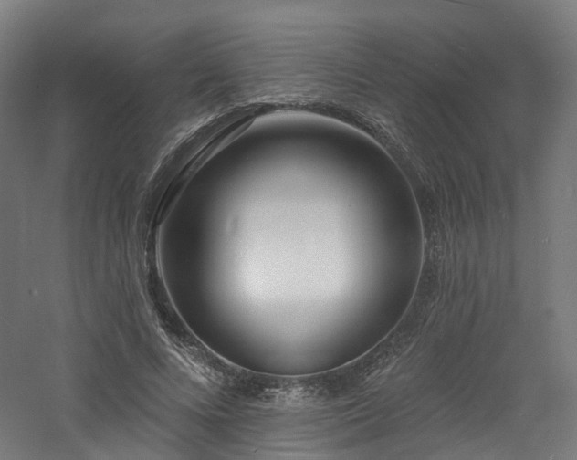 X0000060740688200511101108