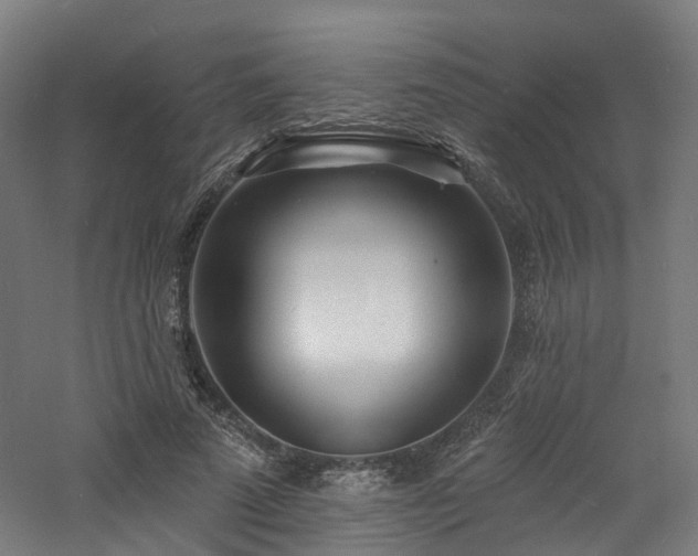 X0000060740689200511101108