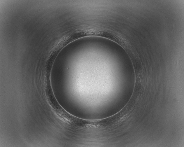 X0000060740690200511101108