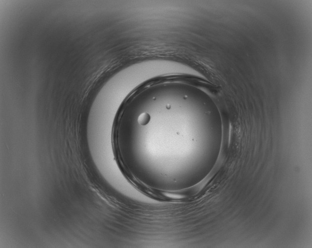 X0000060740691200511101108