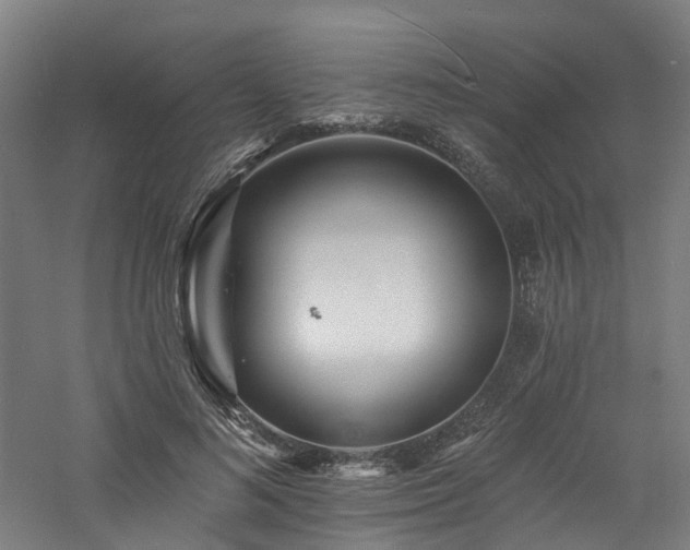 X0000060740692200511101108