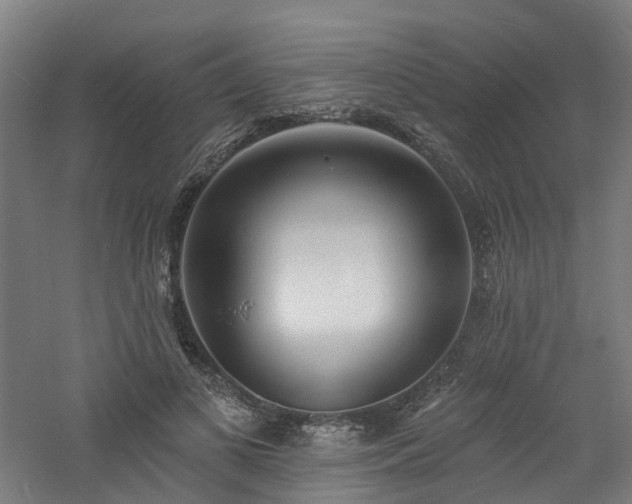 X0000060740693200511101108