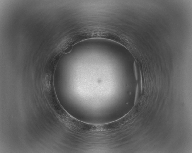 X0000060740695200511101108