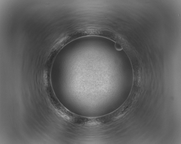 X0000060740696200511101108