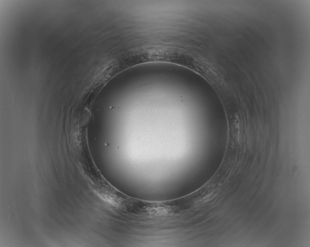 X0000060740698200511101108