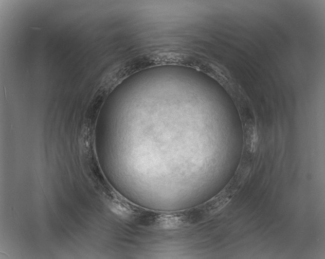 X0000060740701200511101108