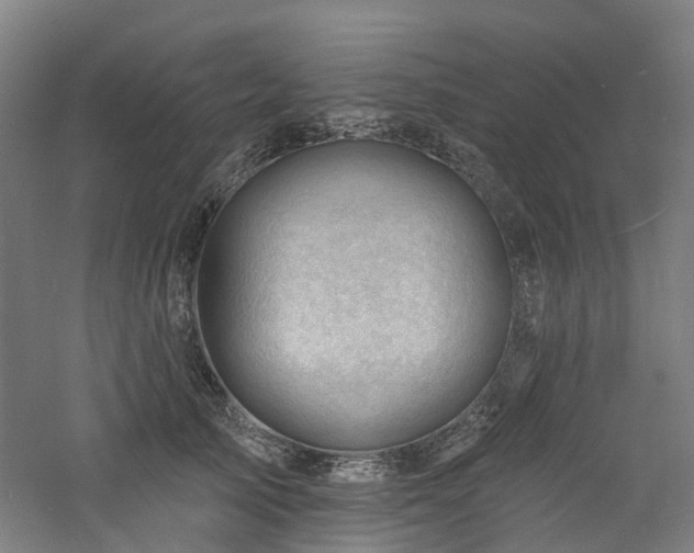 X0000060740705200511101108