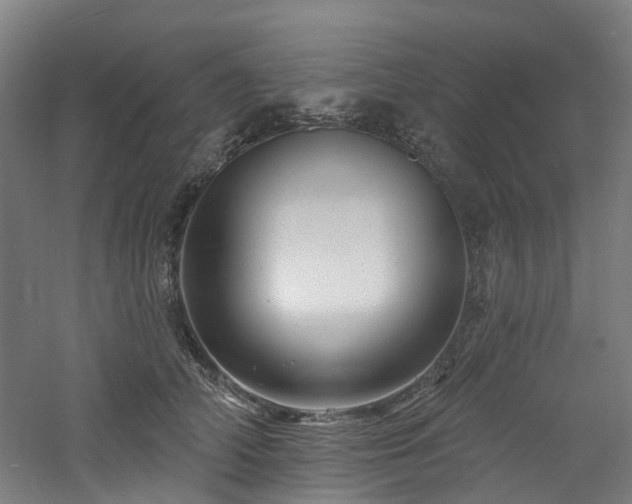 X0000060740706200511101108