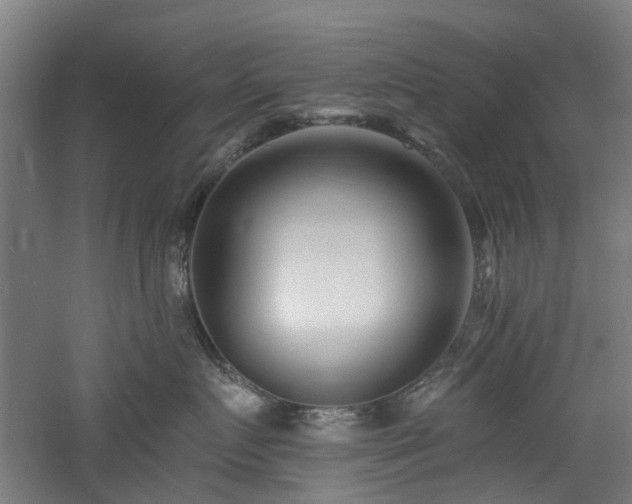 X0000060740719200511101108