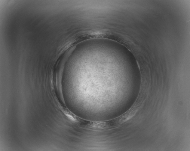 X0000060740720200511101108