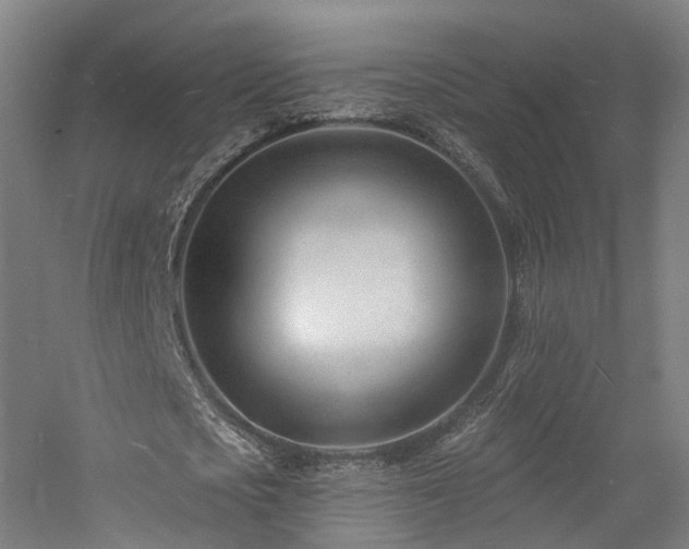 X0000060740721200511101107