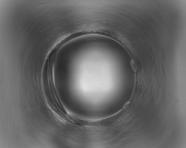 X0000060740722200511101107