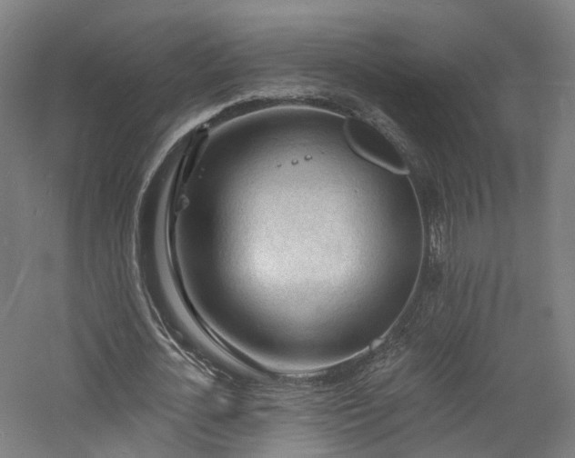 X0000060740724200511101107