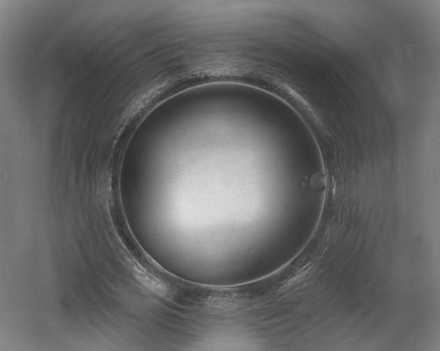 X0000060740725200511101107