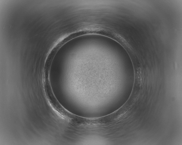 X0000060740726200511101107