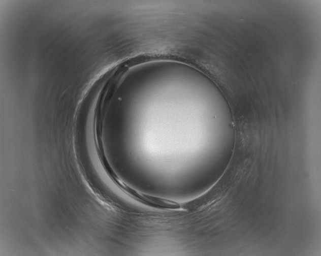 X0000060740728200511101107