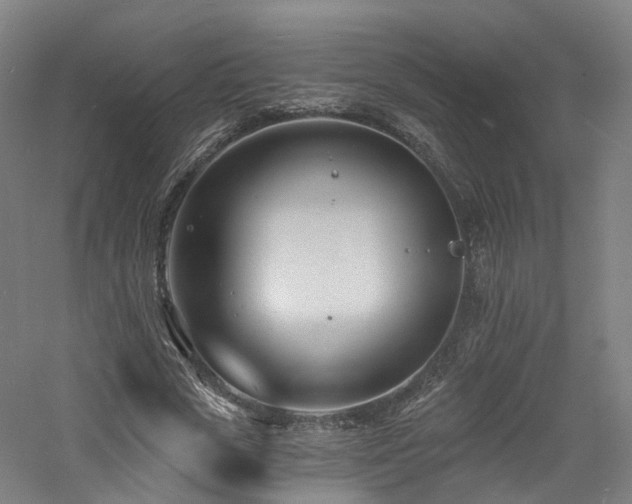 X0000060740729200511101107