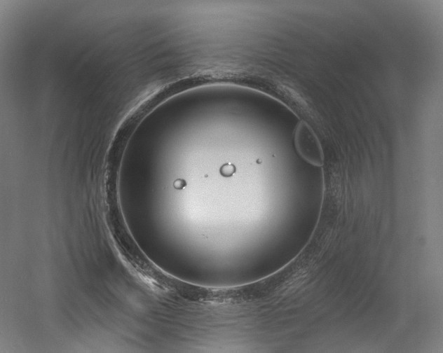 X0000060740730200511101107