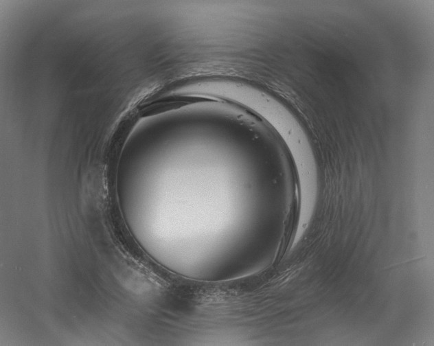 X0000060740731200511101107