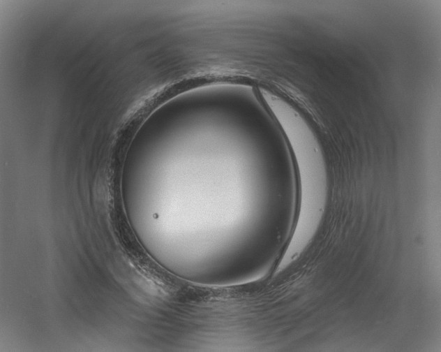 X0000060740732200511101107