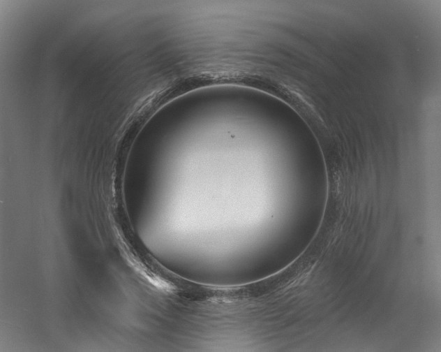 X0000060740733200511101107