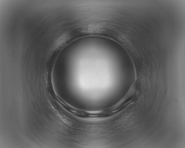 X0000060740735200511101107