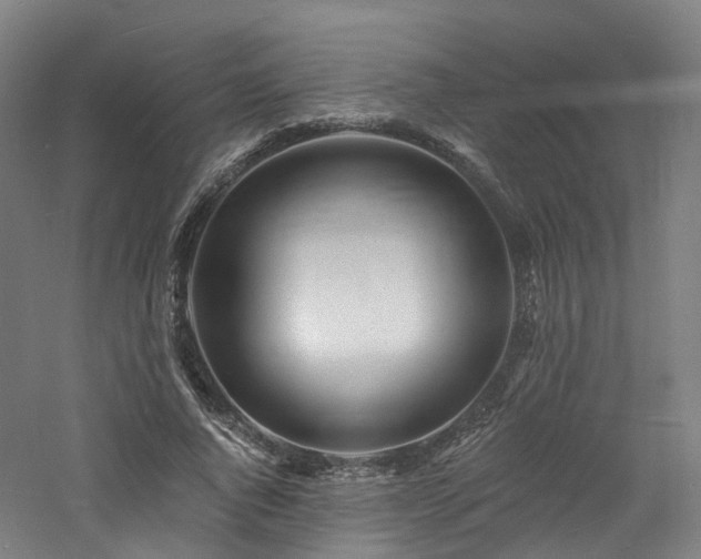 X0000060740736200511101107