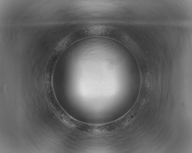 X0000060740737200511101107