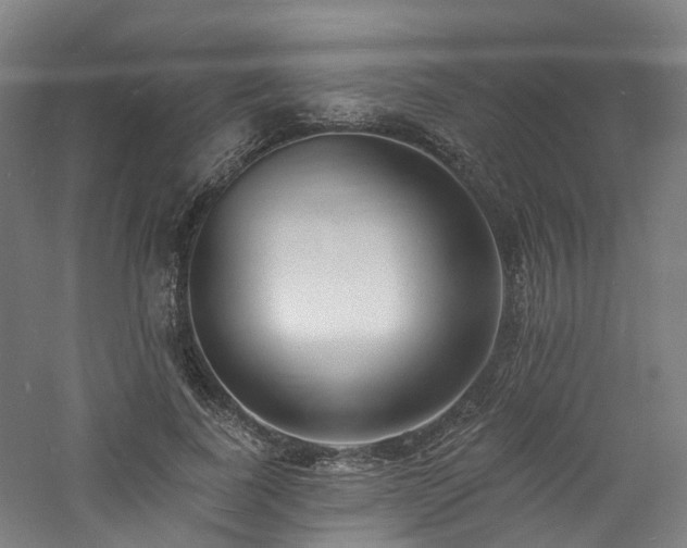 X0000060740739200511101107