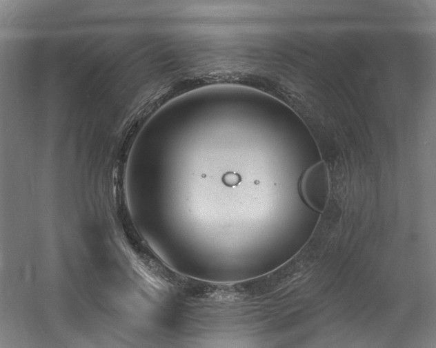 X0000060740742200511101107