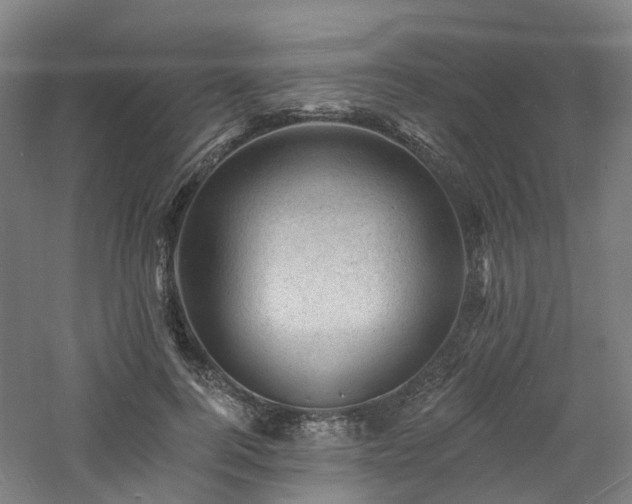 X0000060740744200511101107