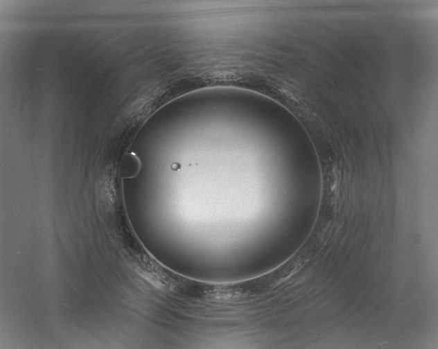 X0000060740746200511101107