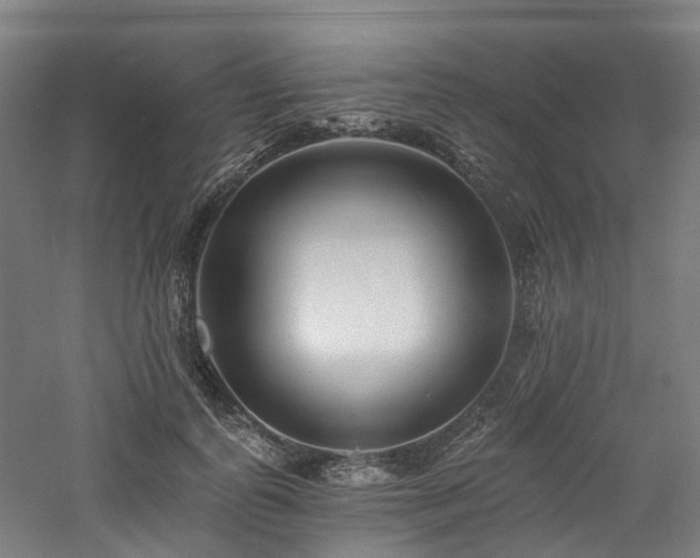 X0000060740747200511101107