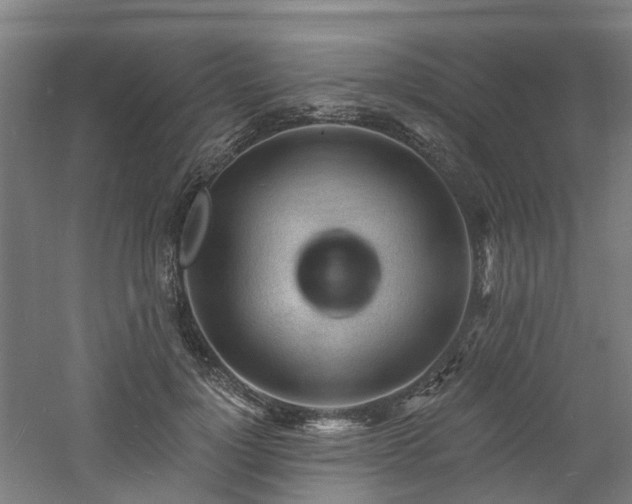 X0000060740748200511101107