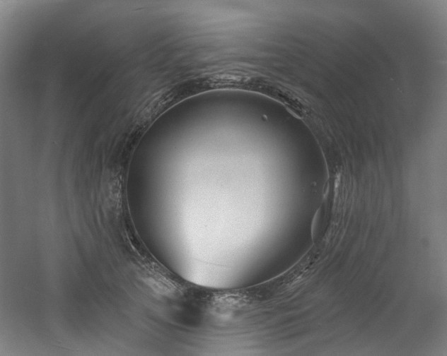 X0000060740753200511101107