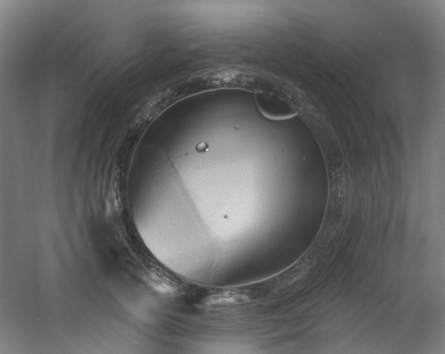 X0000060740754200511101107