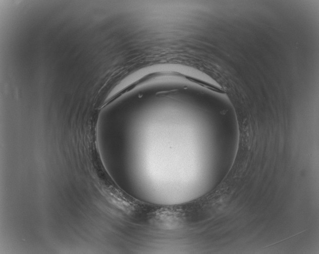 X0000060740756200511101107