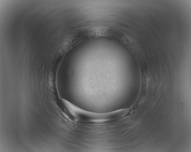 X0000060740760200511101107