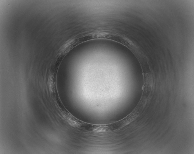 X0000060740761200511101107